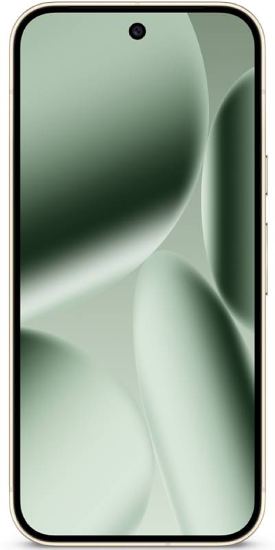 Google Pixel 10 Pro 256GB Jade - Premium