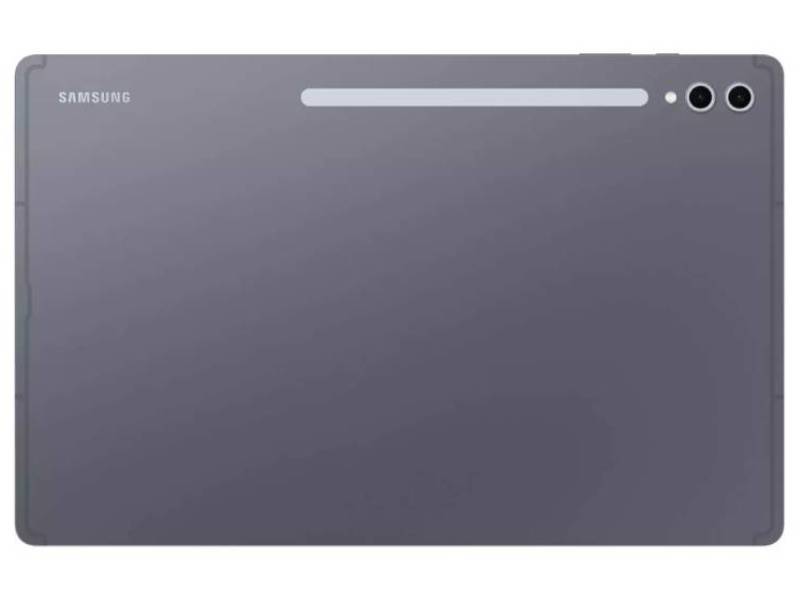 Samsung Galaxy Tab S10+ 256GB 12.4 inches Wifi + 5G Moonstone Grey - Premium