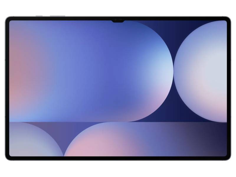 Samsung Galaxy Tab S10+ 256GB 12.4 inches Wifi + 5G Moonstone Grey - Premium