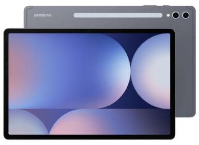 Samsung Galaxy Tab S10+ 256GB 12.4 inches Wifi + 5G Moonstone Grey - Great