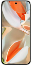Google Pixel 9 Pro XL 256GB Porcelain - Good